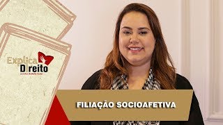 Explica Direito Filiação Socioafetiva  2019 [upl. by Heron]