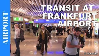 TRANSIT WALK AT FRANKFURT Airport FRA Terminal 1  Connection Flight Transfer Arriving amp Departing [upl. by Kachine]